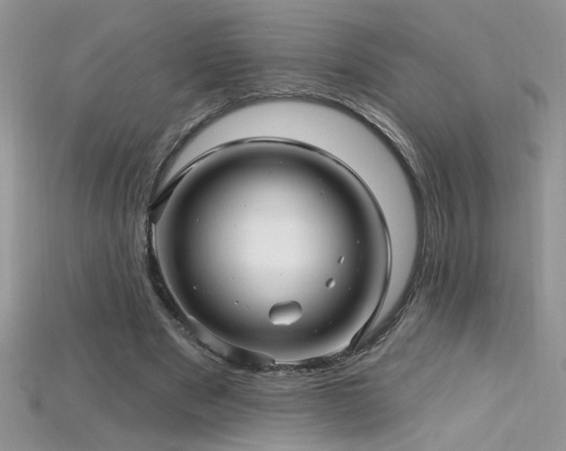 X0000115690489200911121311