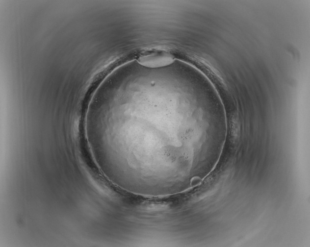 X0000115690491200911121310