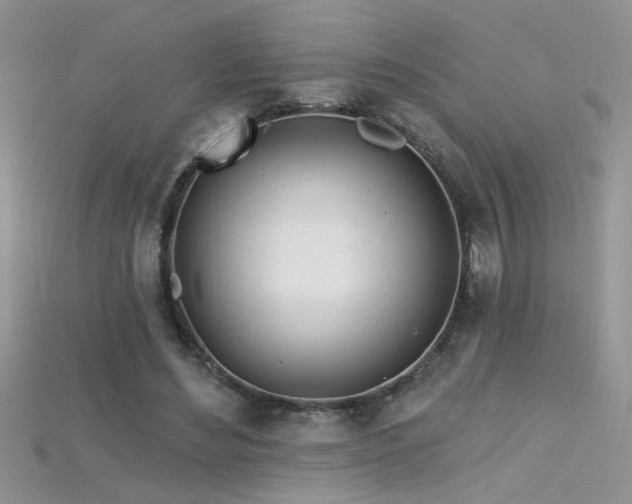 X0000115690492200911121310