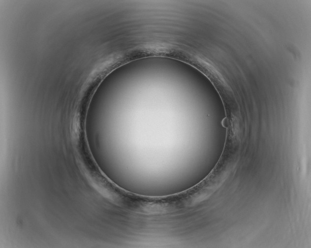 X0000115690494200911121310