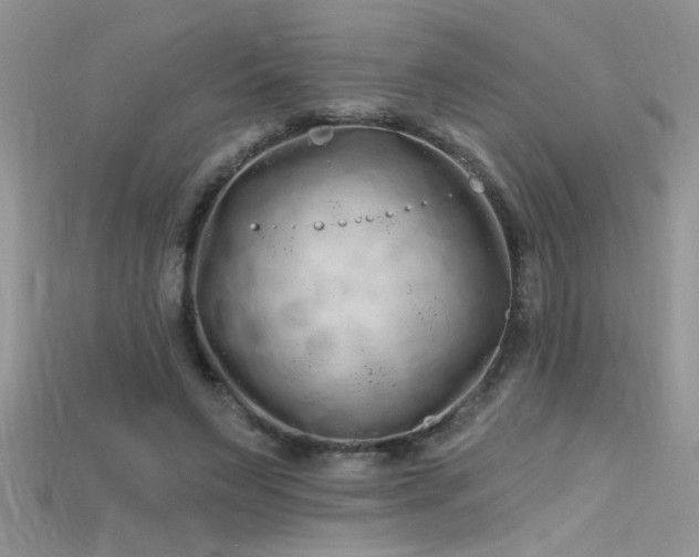 X0000115690495200911121310