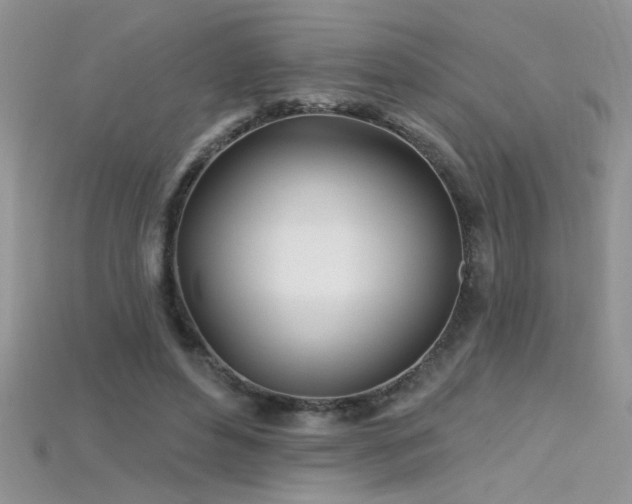 X0000115690496200911121310
