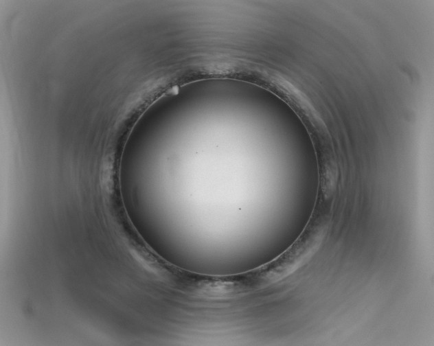 X0000115690497200911121310