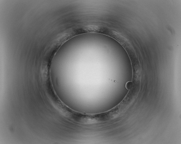 X0000115690498200911121310