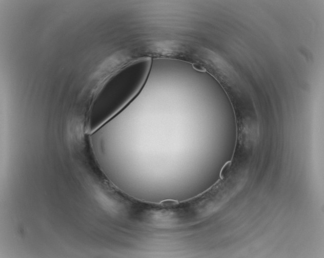X0000115690500200911121310
