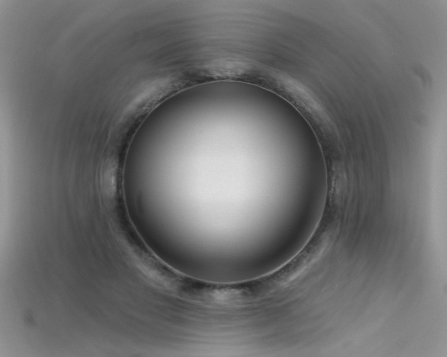 X0000115690501200911121310