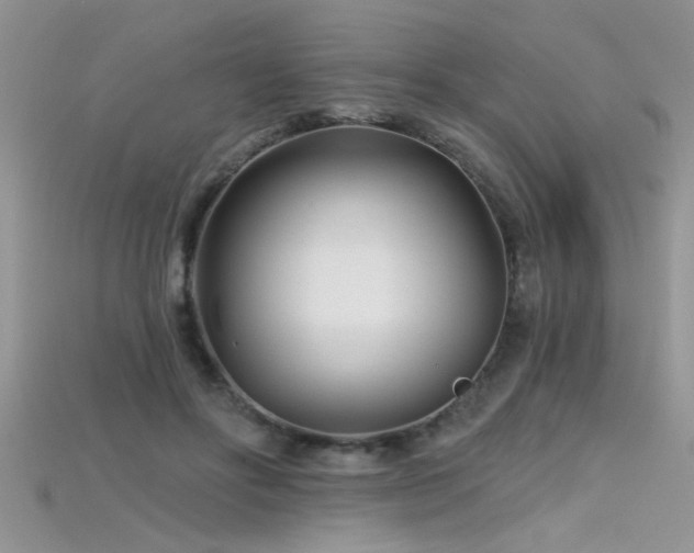 X0000115690502200911121310