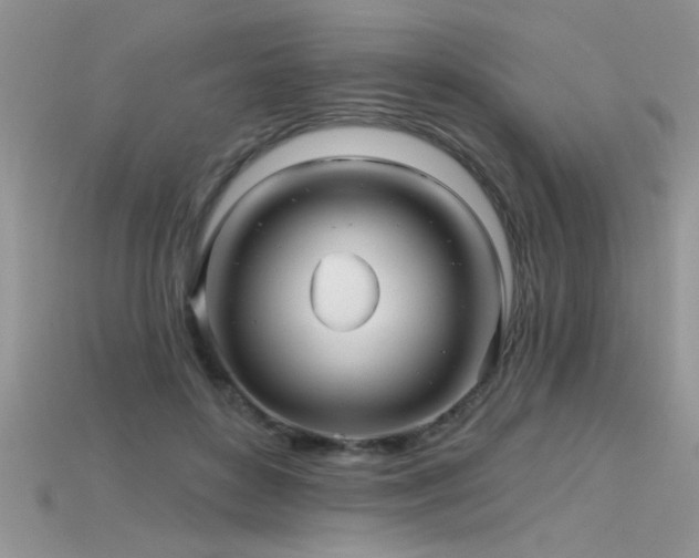 X0000115690504200911121310