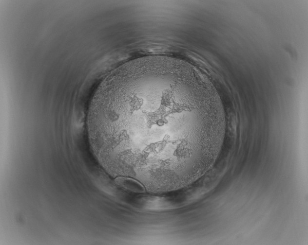 X0000115690507200911121310