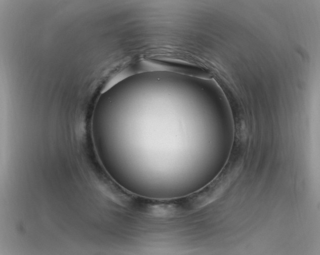 X0000115690508200911121310