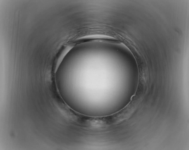 X0000115690512200911121310