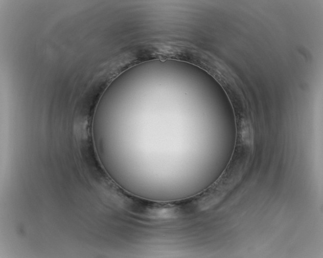 X0000115690514200911121310