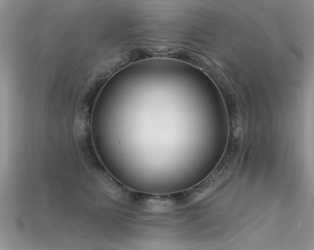 X0000115690515200911121310