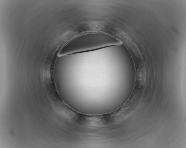 X0000115690516200911121310