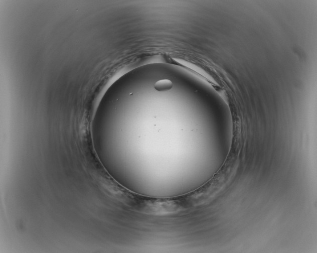 X0000115690517200911121310