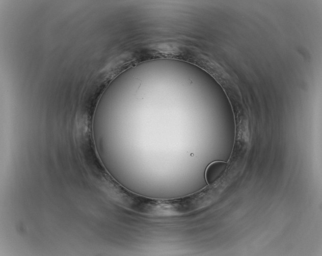 X0000115690518200911121310