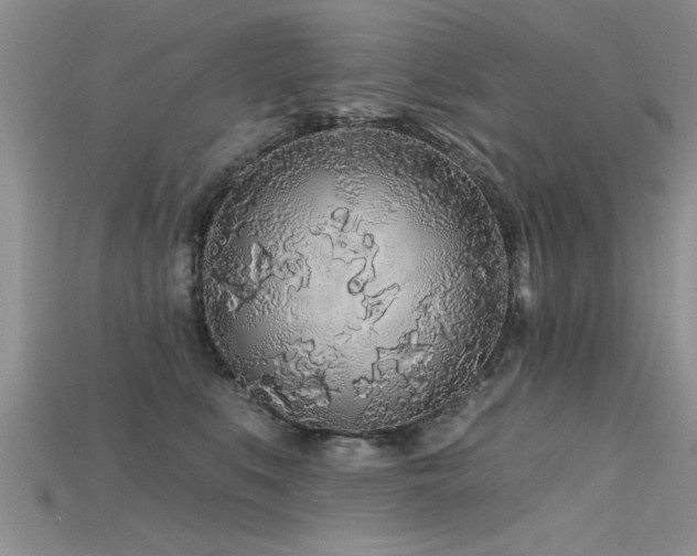 X0000115690519200911121310