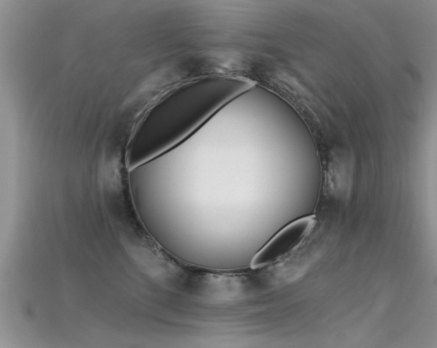 X0000115690520200911121310