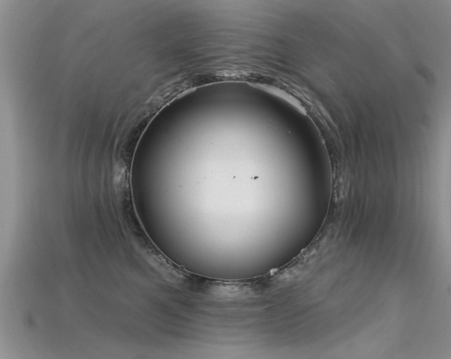 X0000115690521200911121310