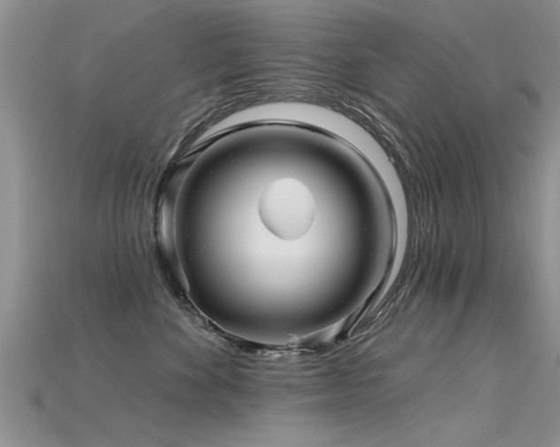 X0000115690524200911121310