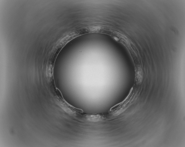 X0000115690525200911121310