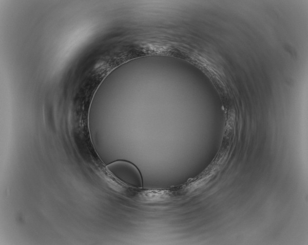 X0000115690526200911121310