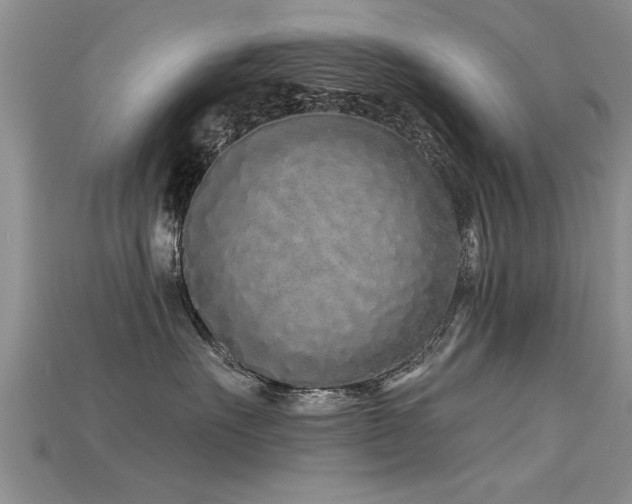 X0000115690527200911121310