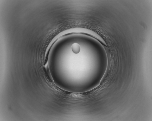 X0000115690528200911121310