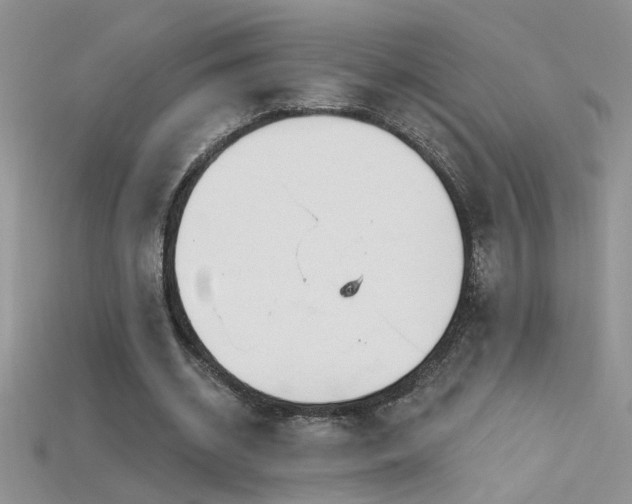 X0000115690534200911121309