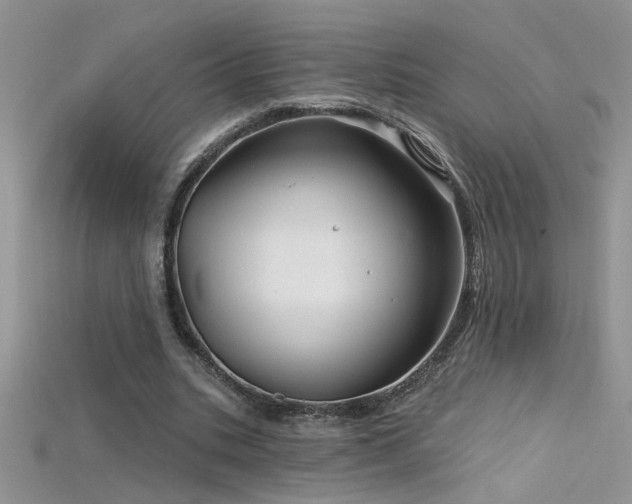 X0000115690535200911121309