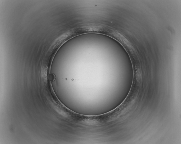 X0000115690537200911121309