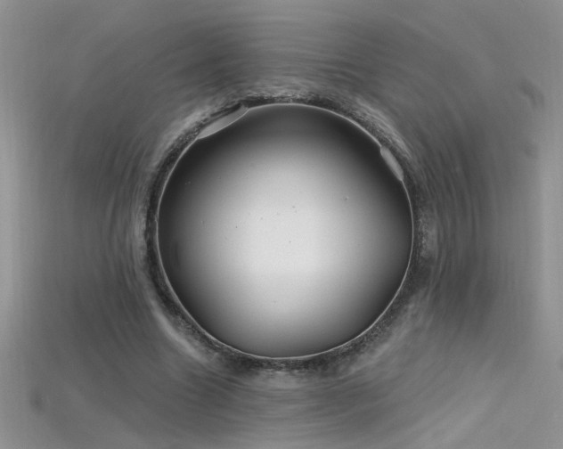 X0000115690538200911121309