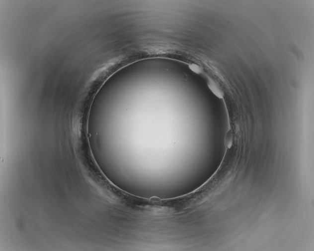 X0000115690539200911121309