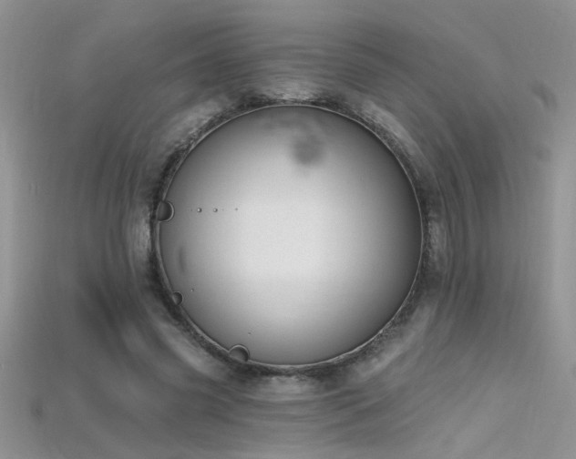 X0000115690541200911121309