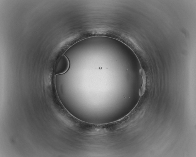 X0000115690543200911121309