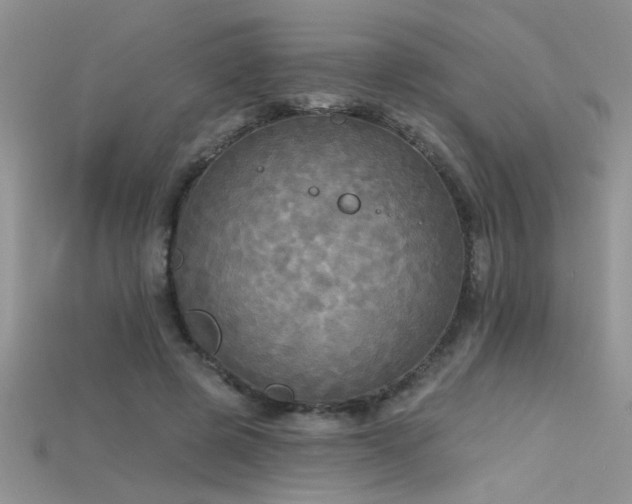 X0000115690545200911121309