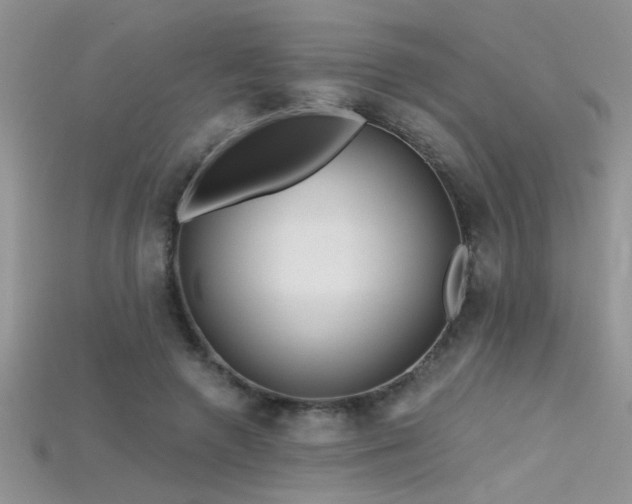 X0000115690546200911121309
