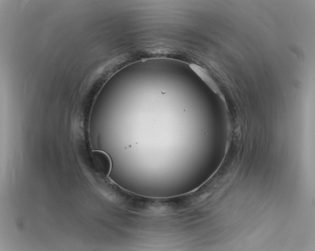 X0000115690547200911121309