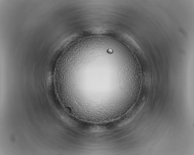 X0000115690549200911121309
