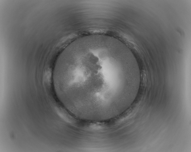 X0000115690550200911121309