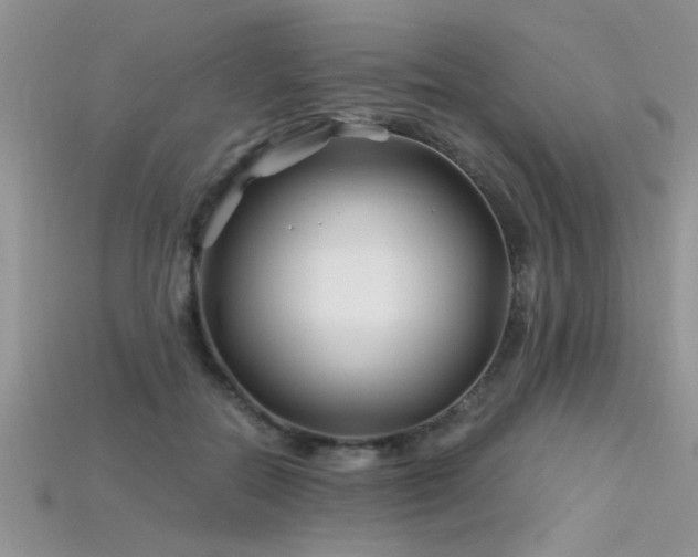 X0000115690554200911121310