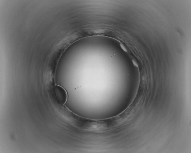X0000115690555200911121310