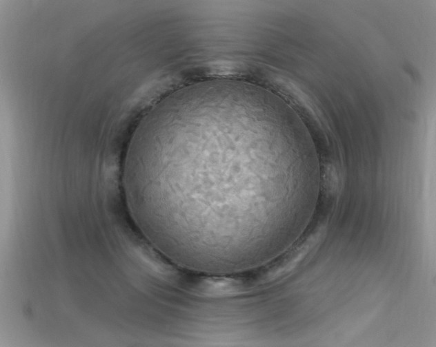 X0000115690557200911121310