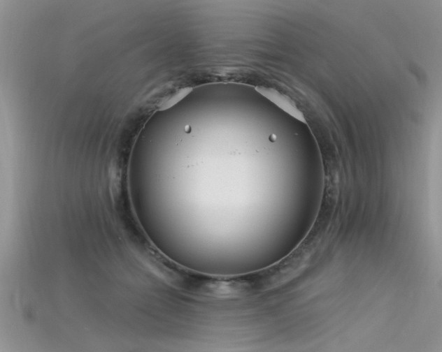 X0000115690558200911121310
