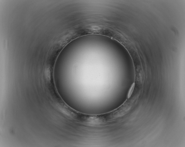 X0000115690562200911121310