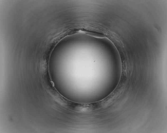 X0000115690563200911121310