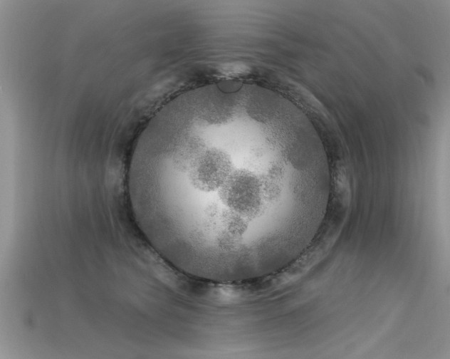 X0000115690565200911121310