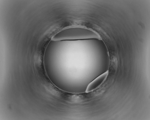 X0000115690566200911121310