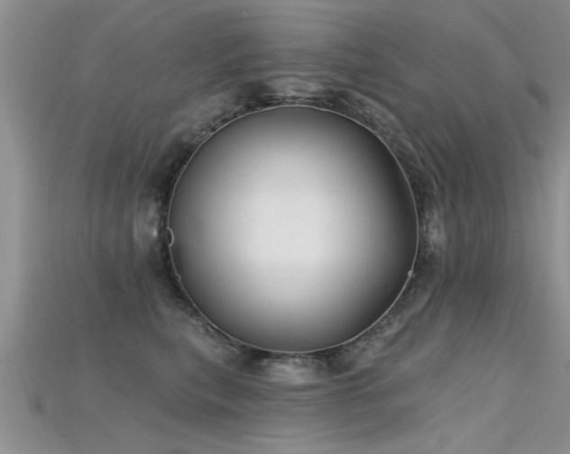 X0000115690567200911121310