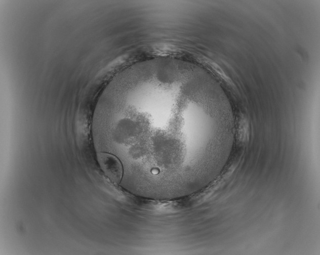 X0000115690569200911121310